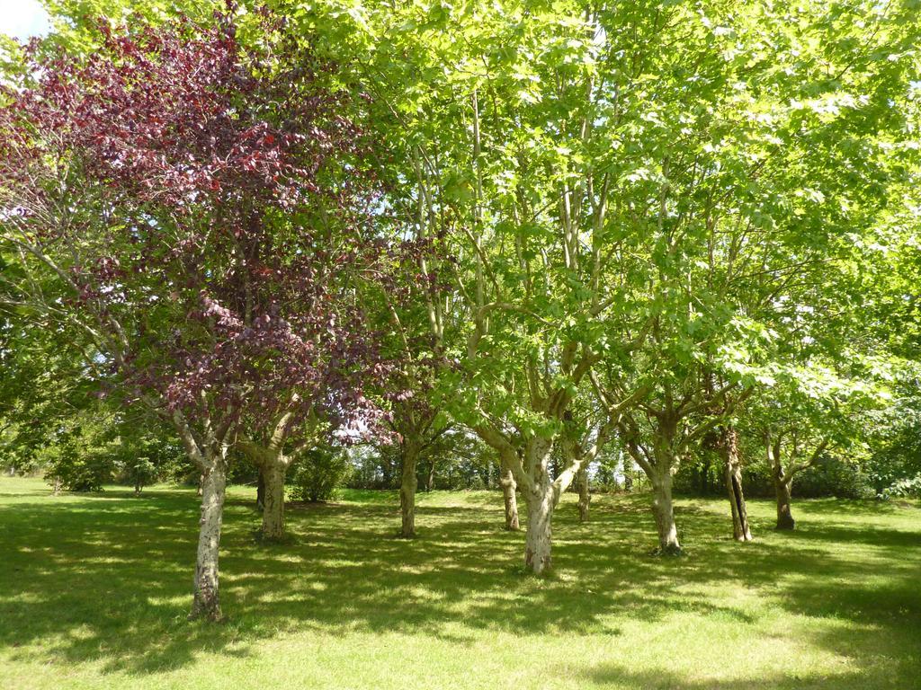 فندق بُفي  Camping Parc Du Chateau D'Allot المظهر الخارجي الصورة